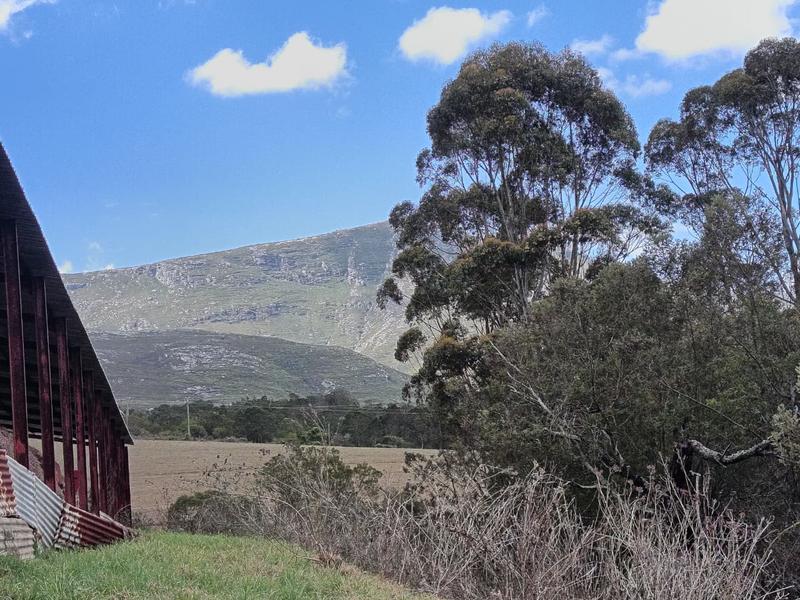 0 Bedroom Property for Sale in Albertinia Western Cape